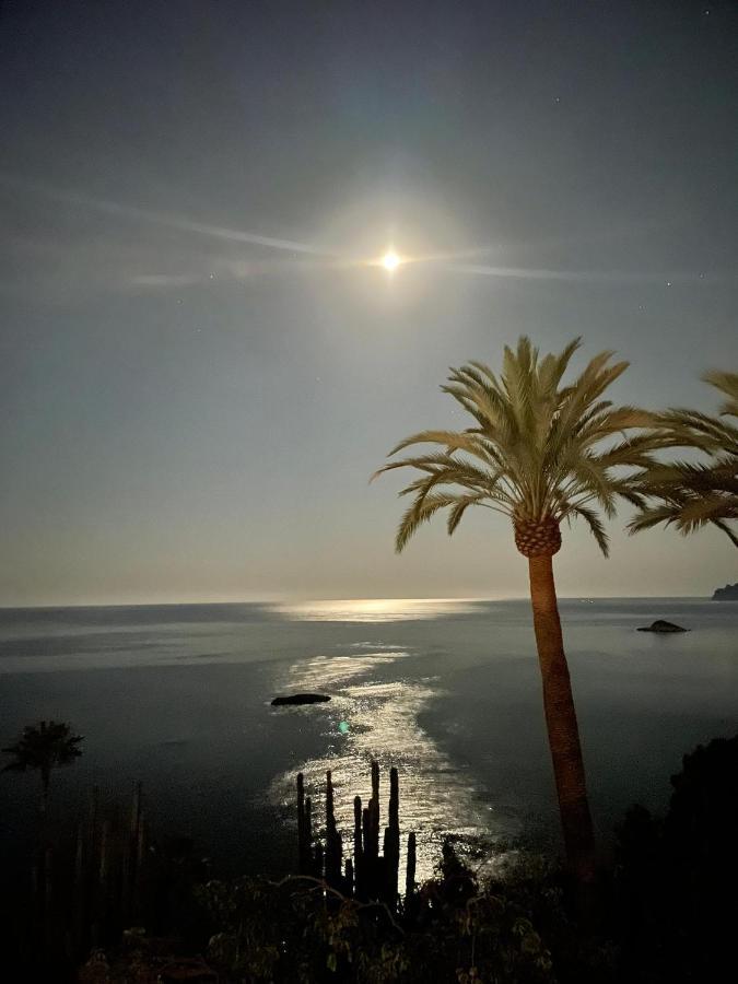 El Jardin Botanico Villa Luz Altea Eksteriør billede