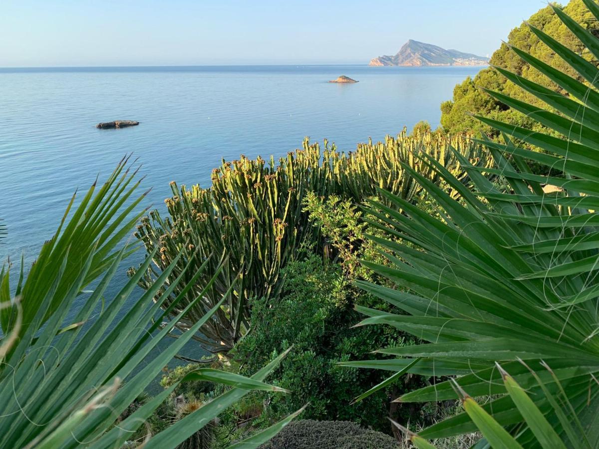 El Jardin Botanico Villa Luz Altea Eksteriør billede