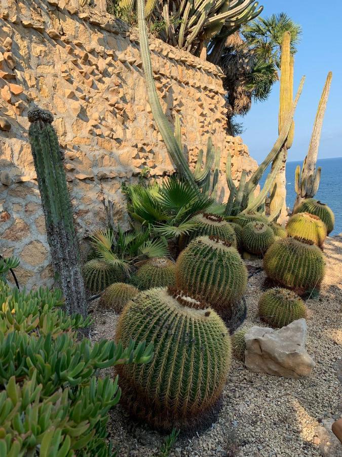 El Jardin Botanico Villa Luz Altea Eksteriør billede