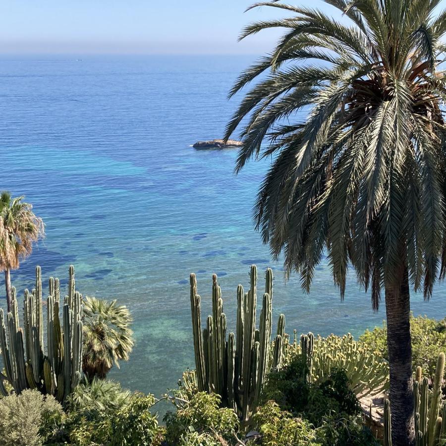 El Jardin Botanico Villa Luz Altea Eksteriør billede