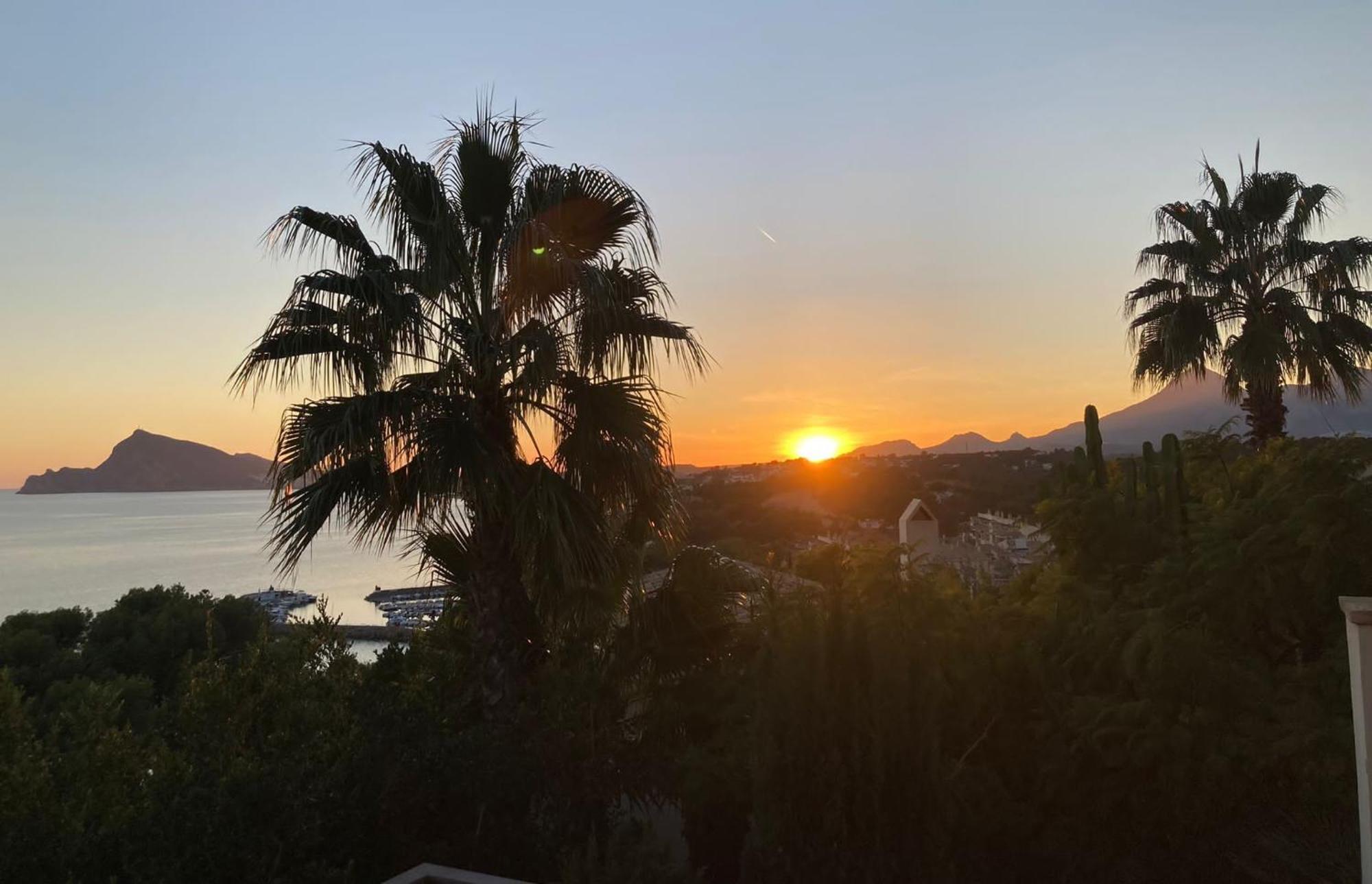 El Jardin Botanico Villa Luz Altea Eksteriør billede